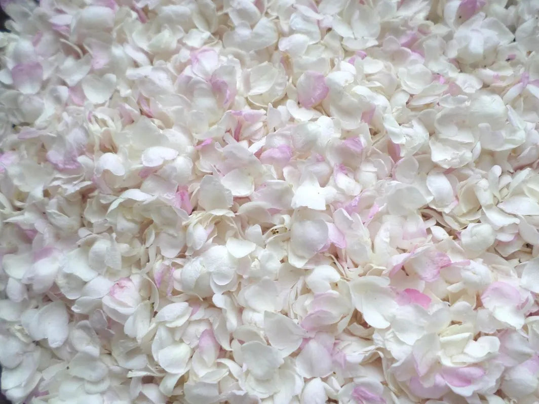 Herbal Face Cleanser Rose Petals Ancient Oil Cleansing Missouri Herbs