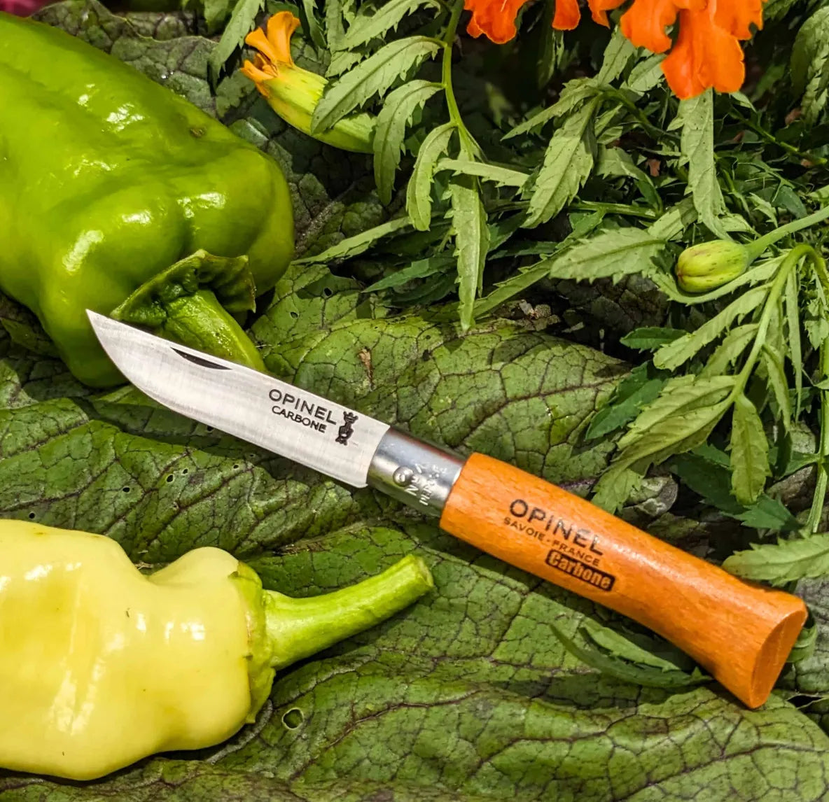 opinel 4 folding pocket knife Homestead Iron 3