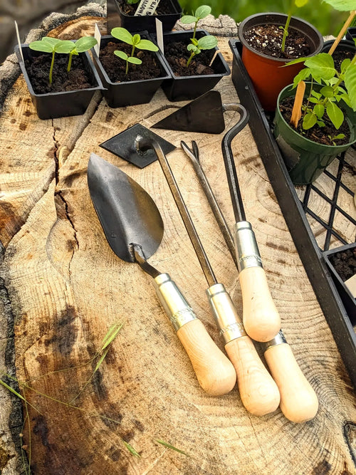 forged garden trowel 4 Piece Gift Set: Scuffle Weeder, Large Trowel, V-Hoe & Weeding Fork