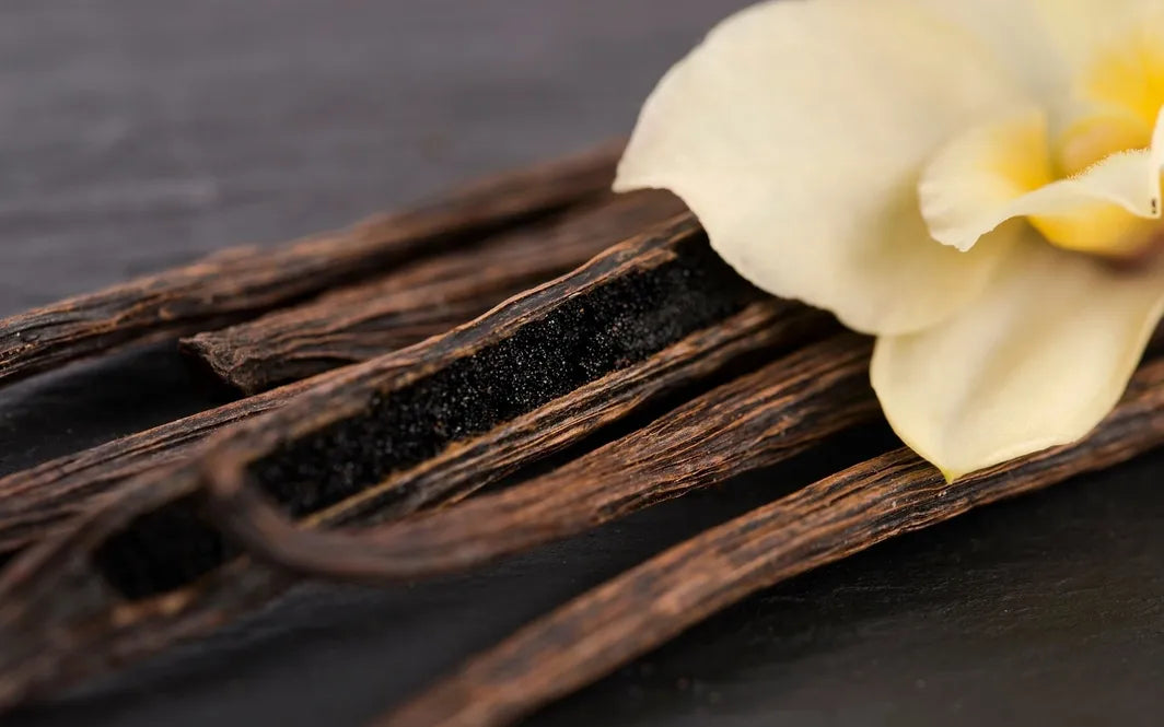 Facial Bliss ~ Madagascar Vanilla Bean botanical moisturizer & face butter by Missouri Herbs image of vanilla beans. 