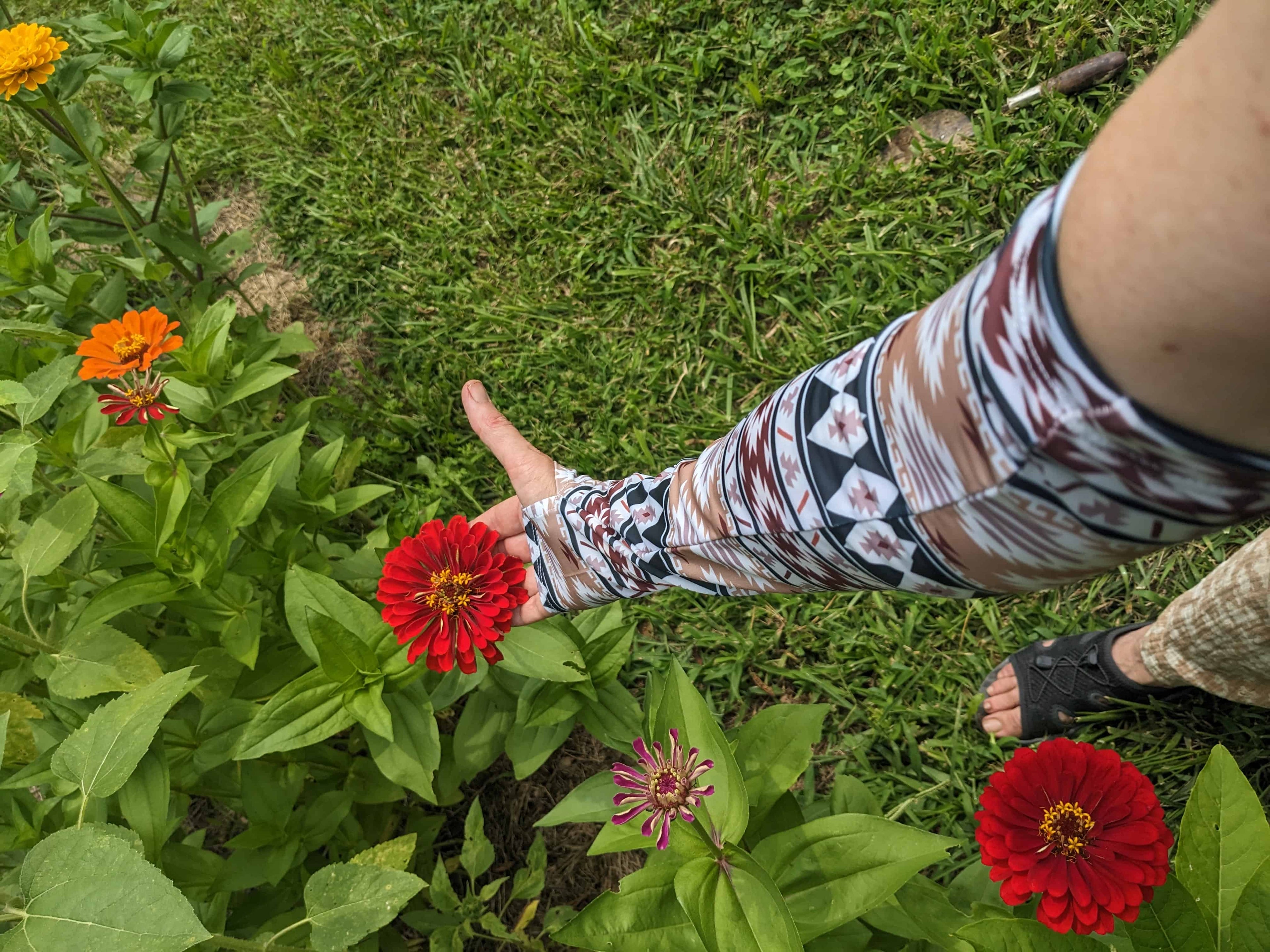 Garden Protection sleeves