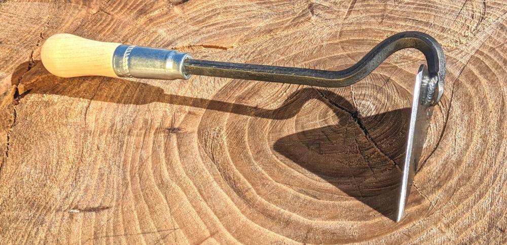 <h2>What our customers say</h2>